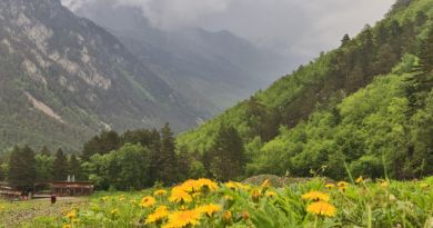 Гуамское ущелье и термальные источники - Авто-пешеходная экскурсия